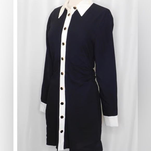 NWT ZARA BUTTON DOWN DRESS /  VARIOUS SIZES - Picture 3 of 8